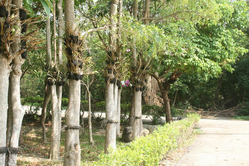 Butterfly B&B Manzhou Ngoại thất bức ảnh