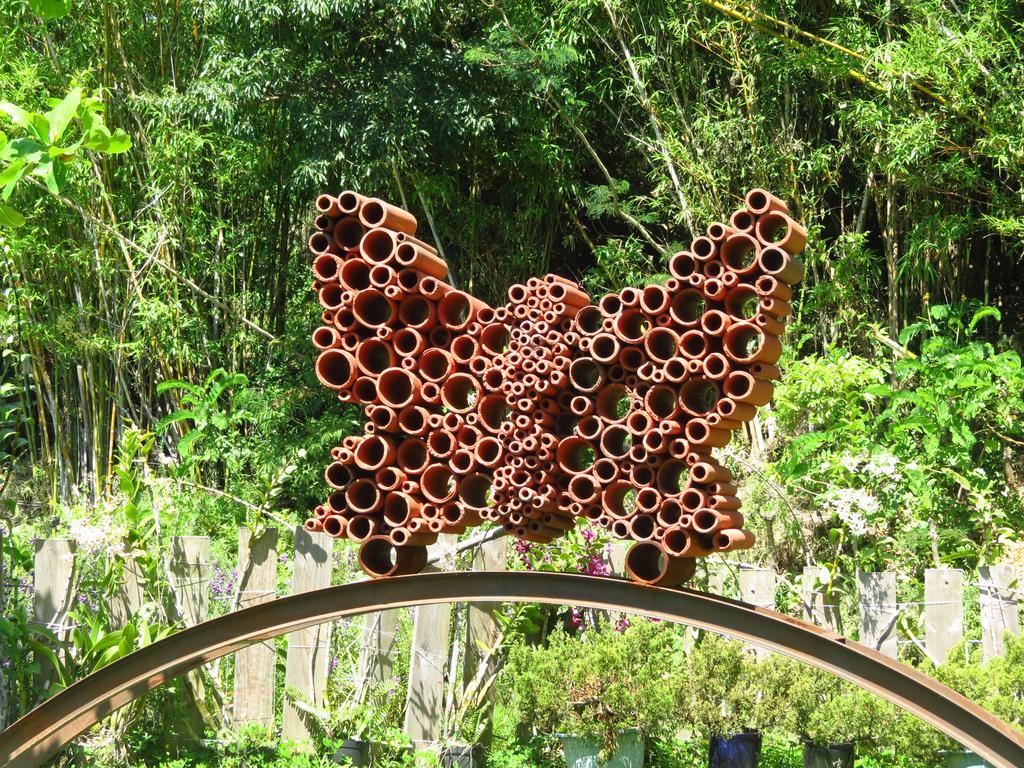 Butterfly B&B Manzhou Ngoại thất bức ảnh